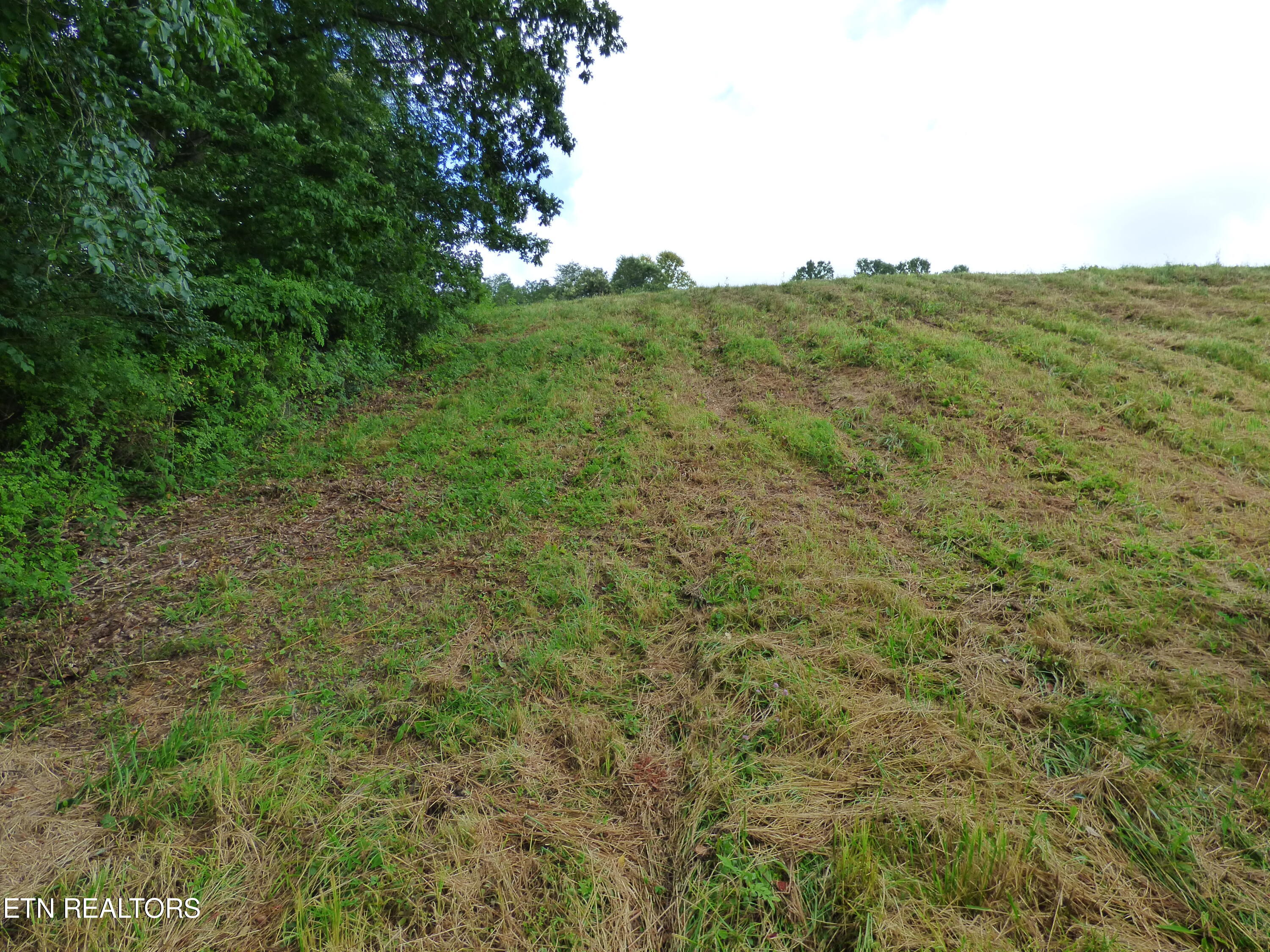 Dykes Road Crossville, TN 38571 - Photo 22 of 27 P1070741