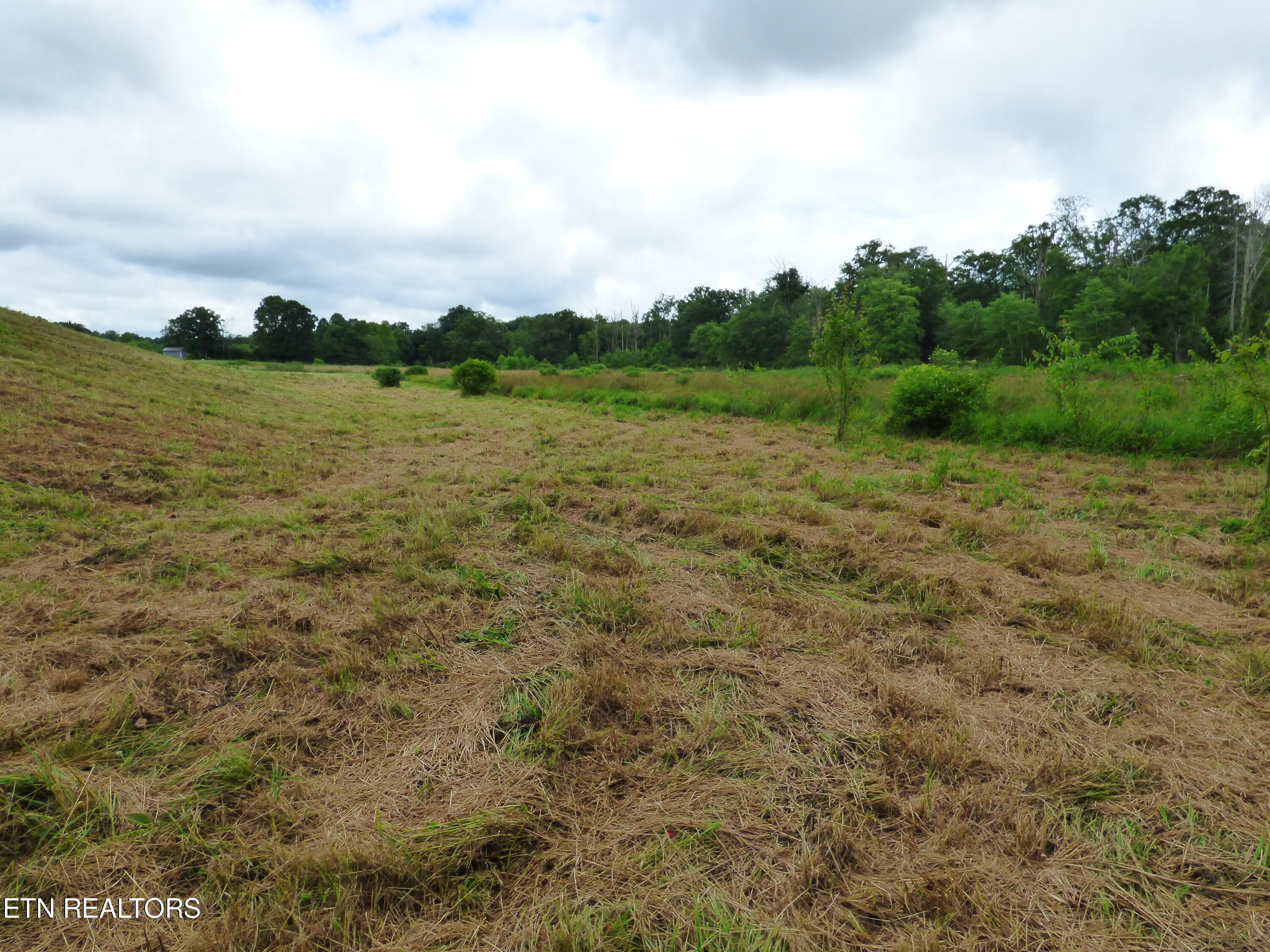 Dykes Road Crossville, TN 38571 - Photo 24 of 27 P1070743