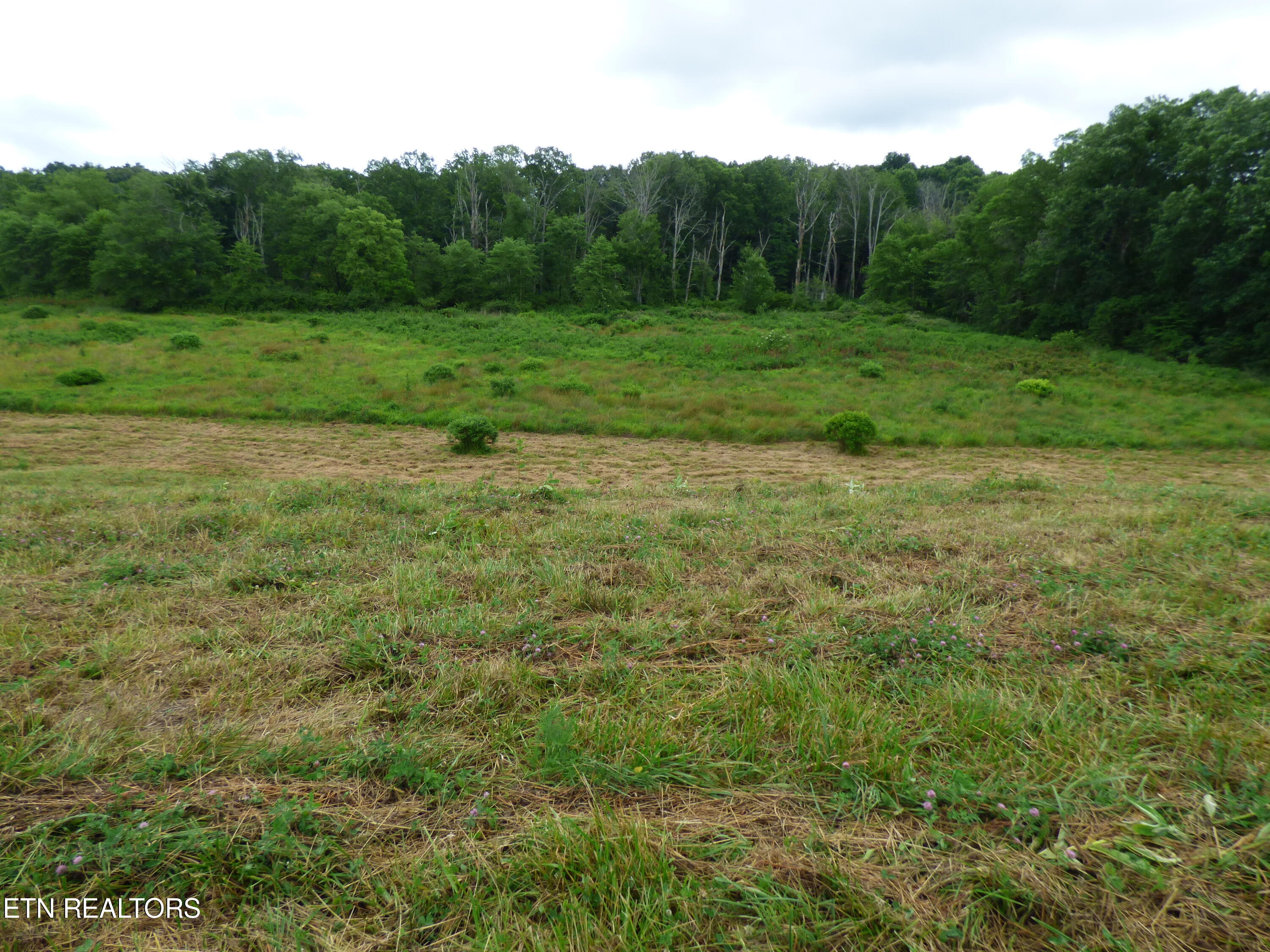 Dykes Road Crossville, TN 38571 - Photo 25 of 27 P1070744