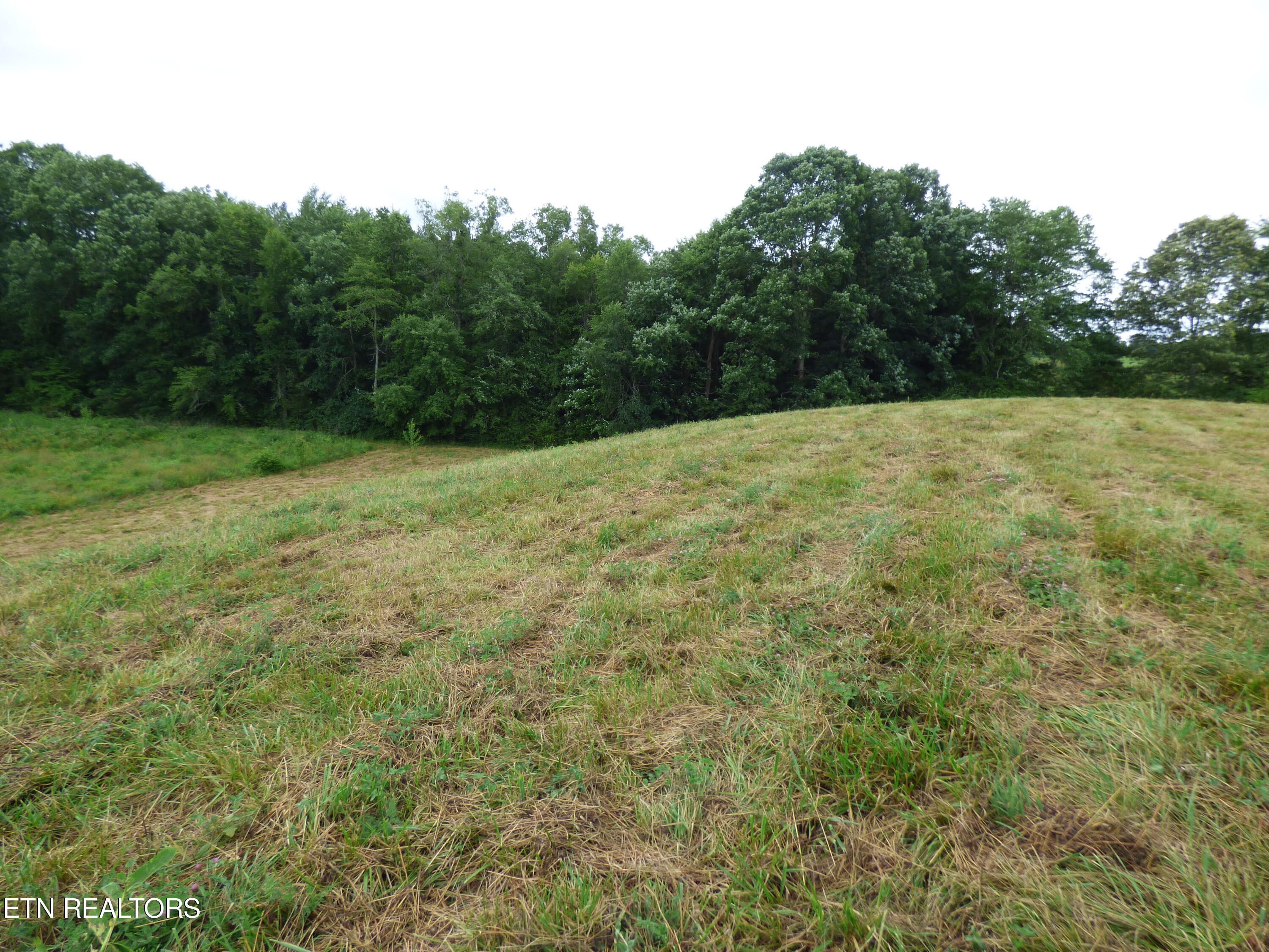 Dykes Road Crossville, TN 38571 - Photo 26 of 27 P1070745