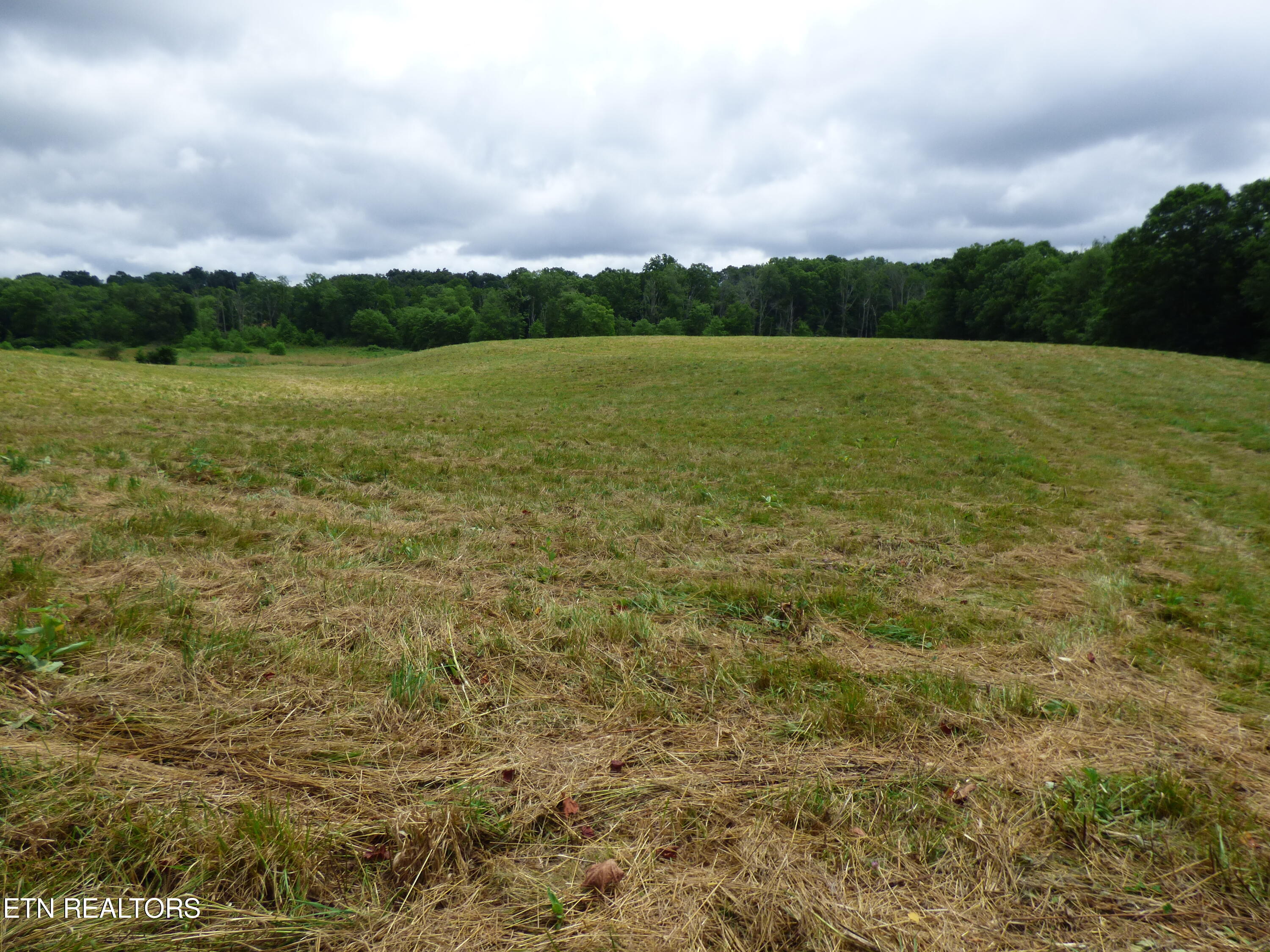 Dykes Road Crossville, TN 38571 - Photo 3 of 27 P1070722