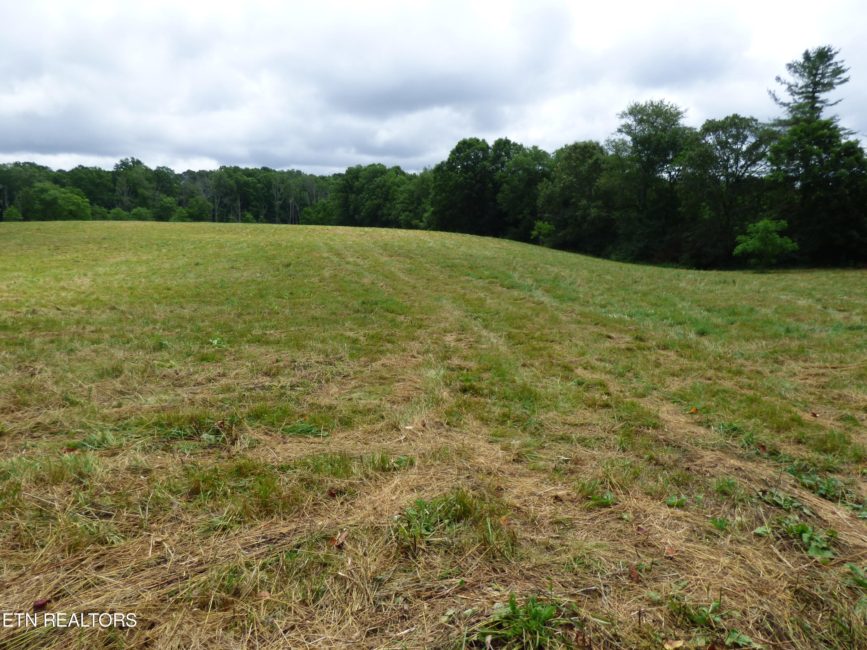Dykes Road Crossville, TN 38571 - Photo 4 of 27 P1070723