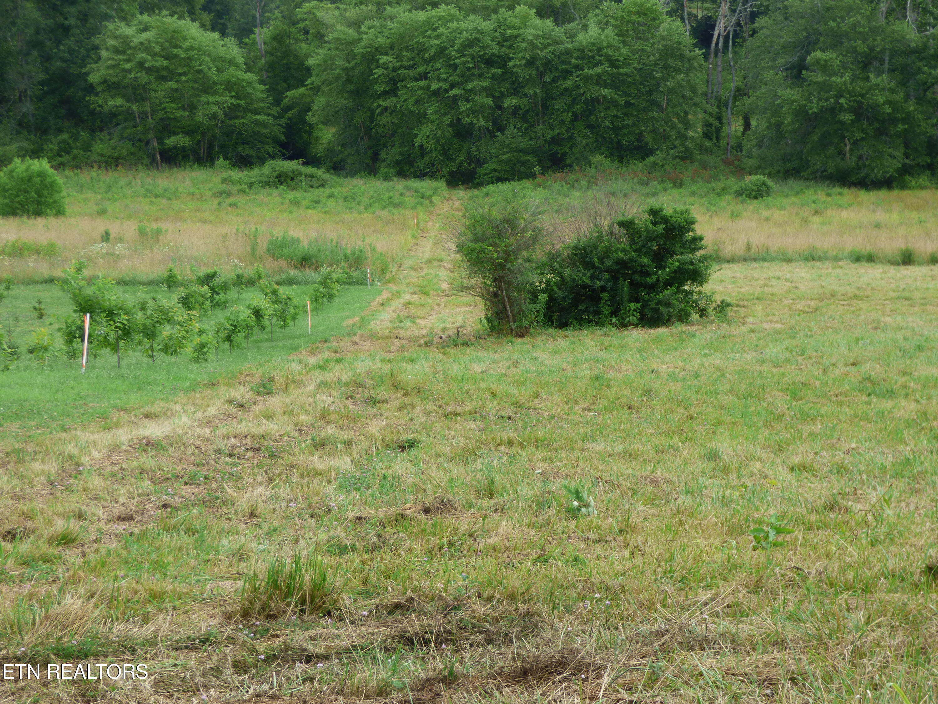 Dykes Road Crossville, TN 38571 - Photo 10 of 27 P1070729