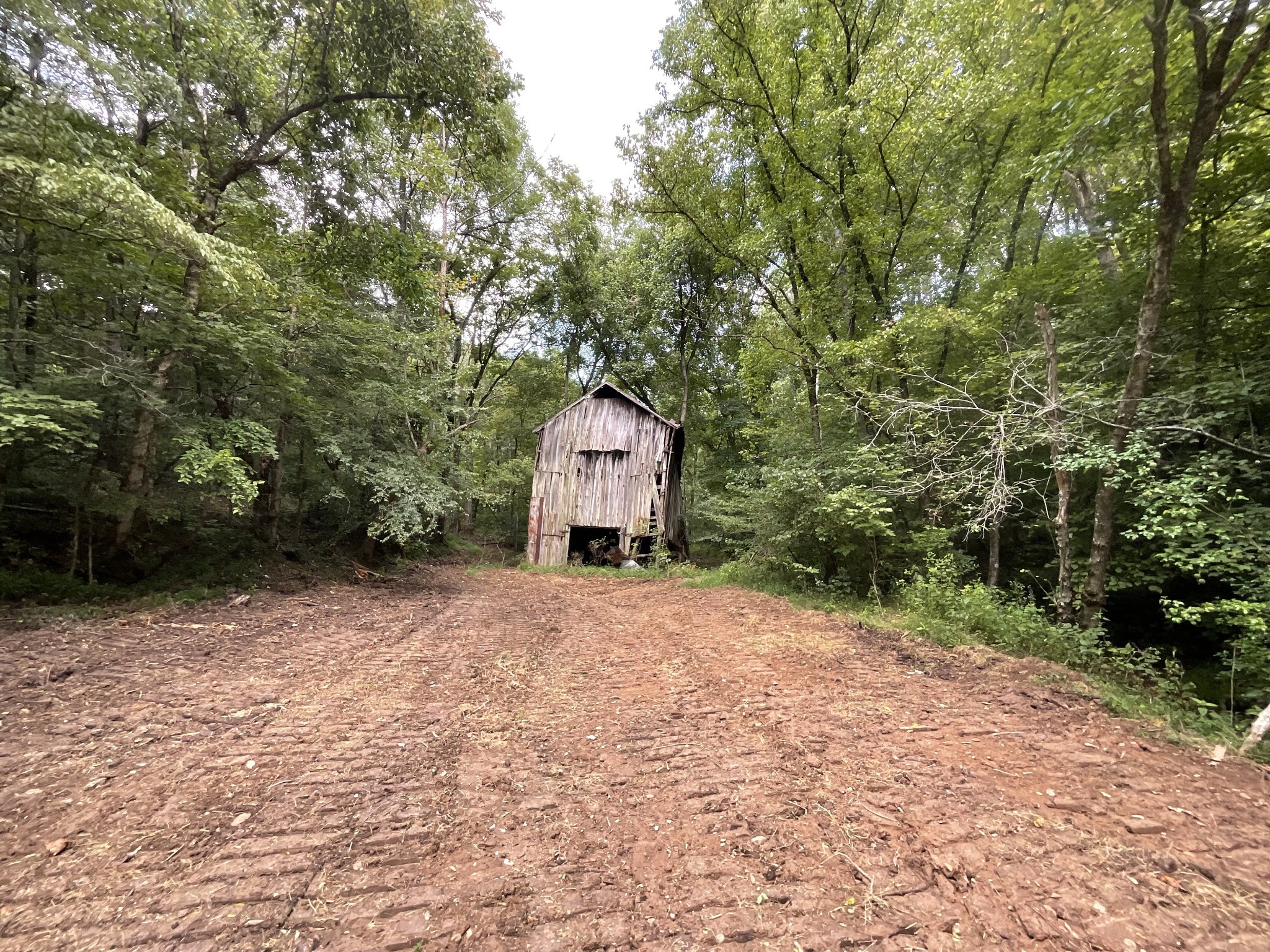 4 Lyle Hollow Road Palmyra, TN 37142 - Photo 33 of 80 Gallery Image 33