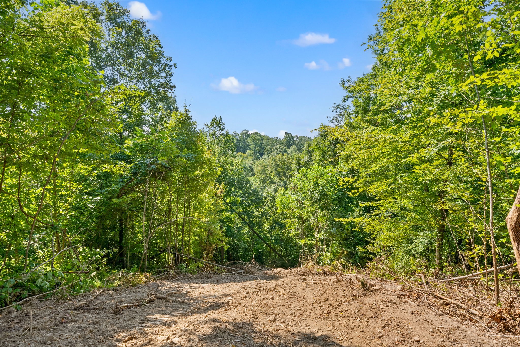 4 Lyle Hollow Road Palmyra, TN 37142 - Photo 53 of 80 Gallery Image 53