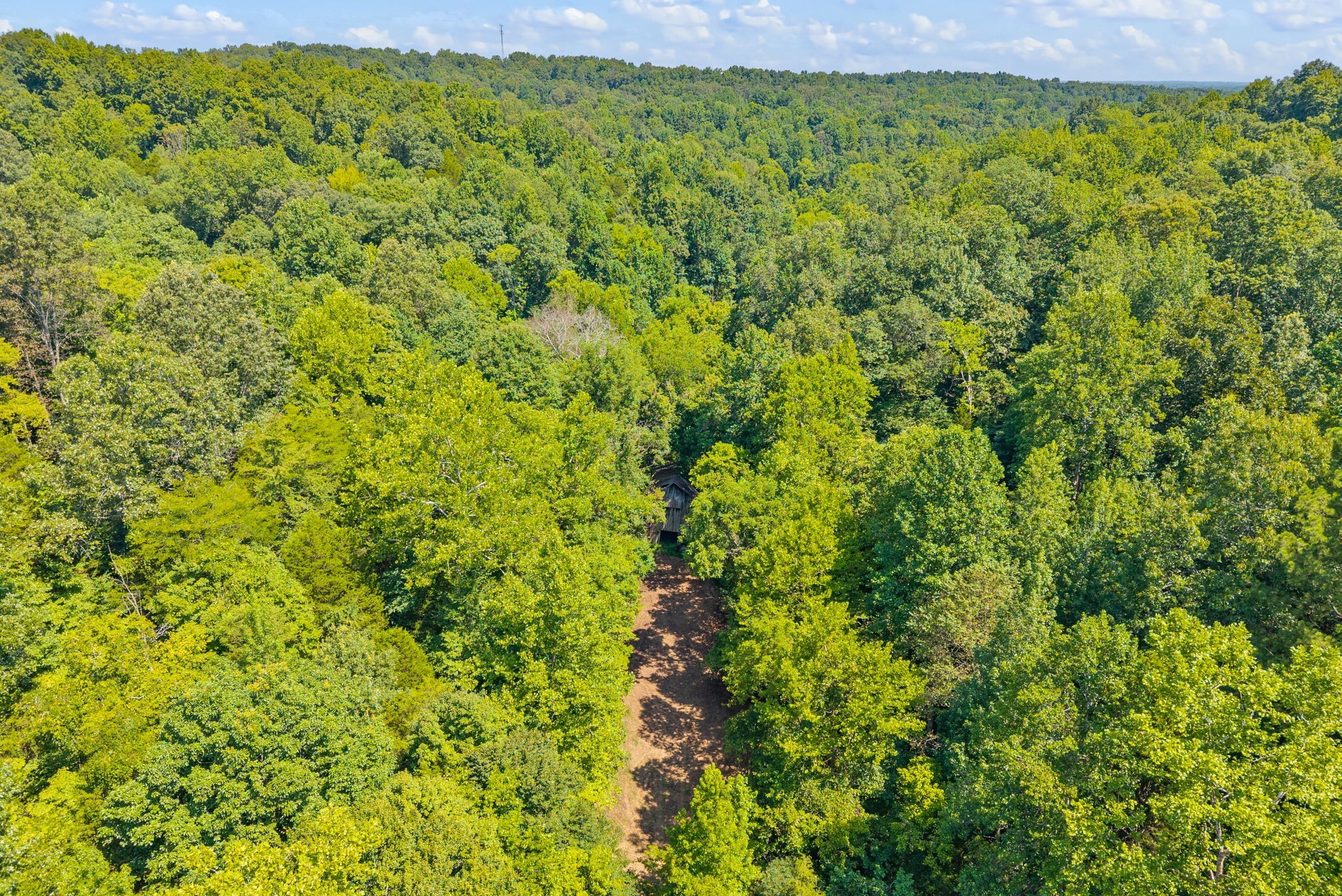 4 Lyle Hollow Road Palmyra, TN 37142 - Photo 54 of 80 Gallery Image 54