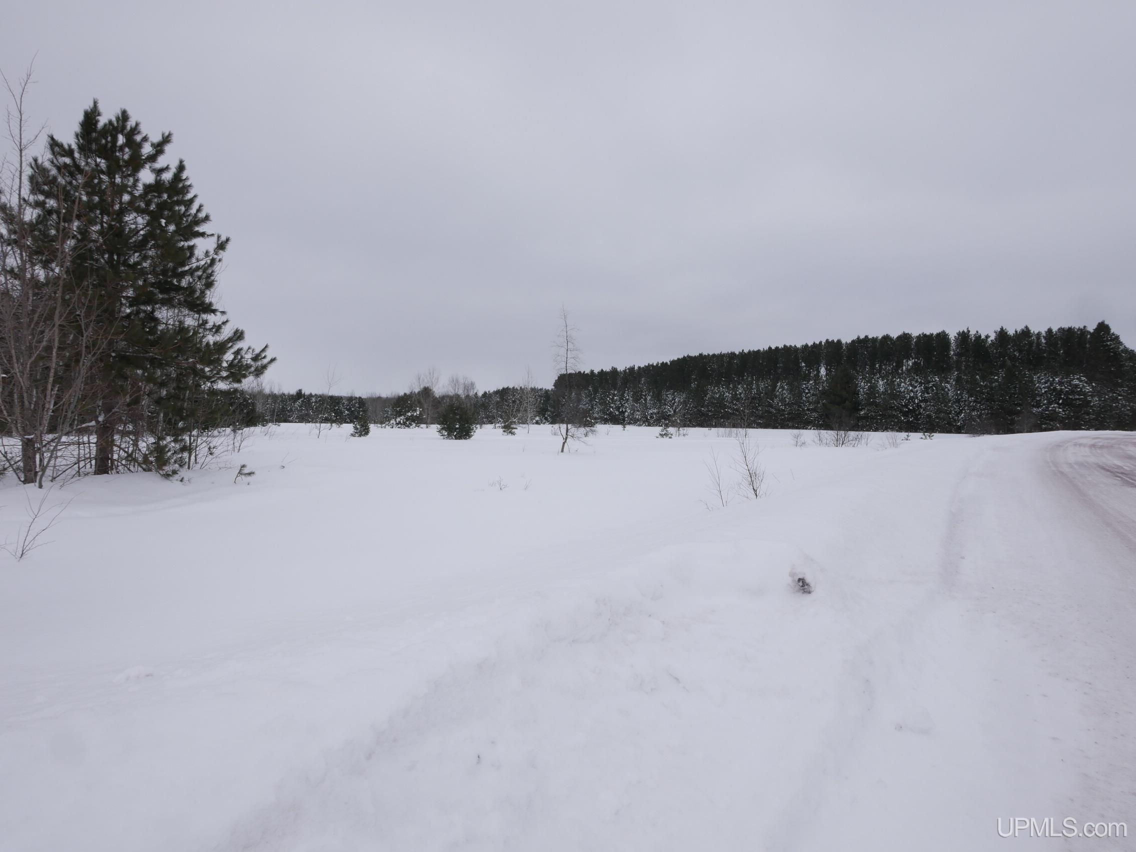 Parcel C Liminga Road Atlantic Mine, MI 49905 - Photo 24 of 28 Gallery Image 24