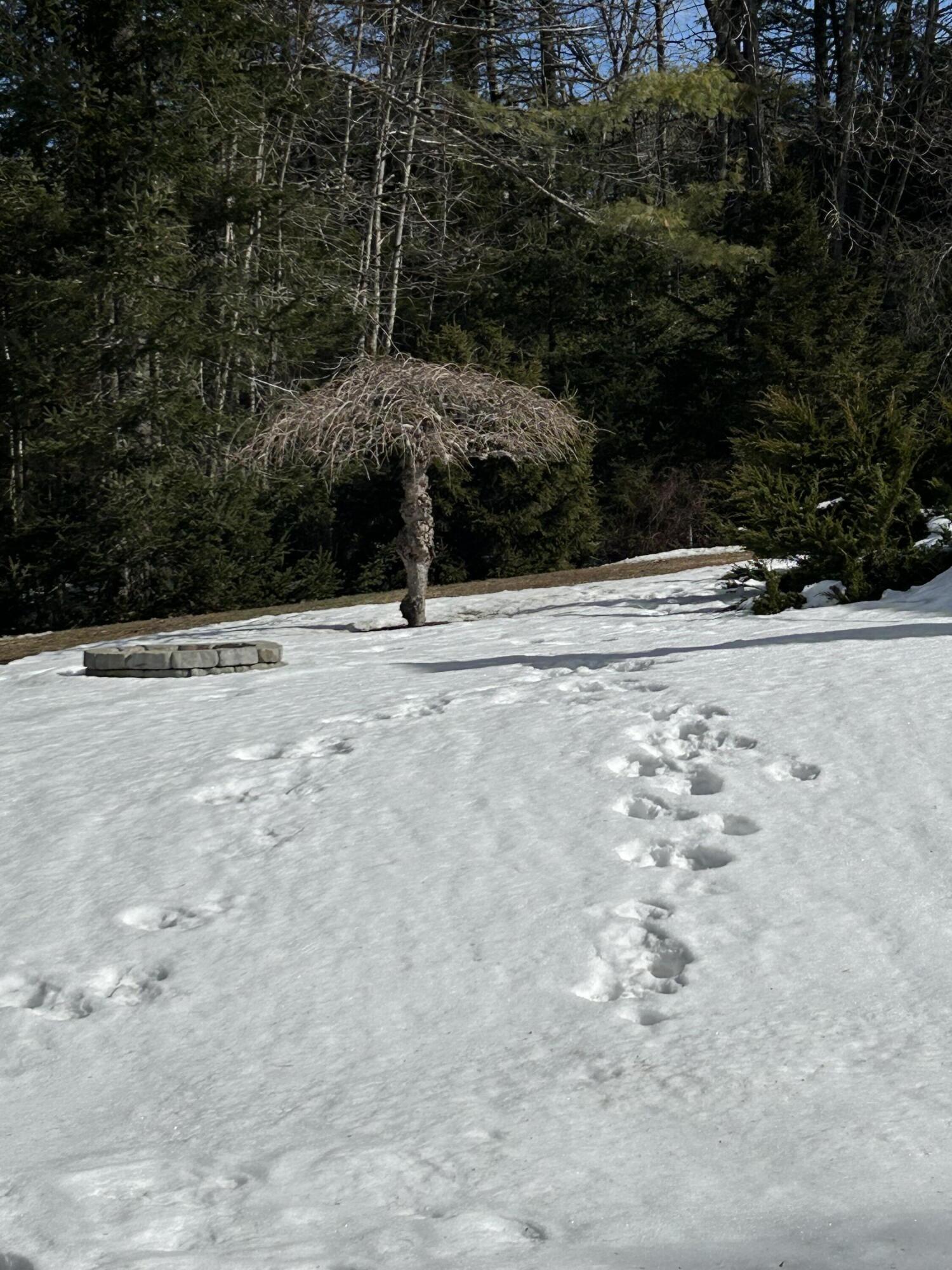 40 Woodland Road Pownal, ME 04069 - Photo 67 of 68 IMG_0475