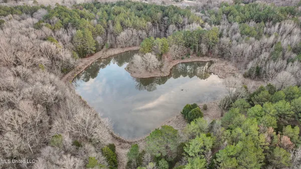 $2,397,000 | Ms-7, Water Valley, MS 38965
