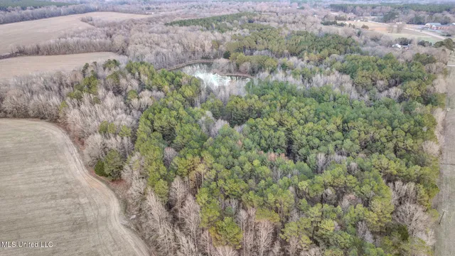 $2,397,000 | Ms-7, Water Valley, MS 38965