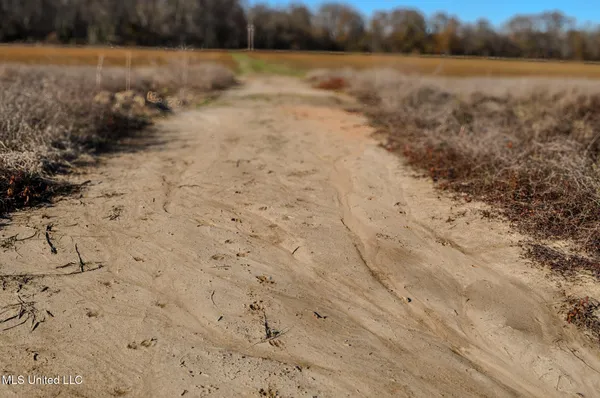 $2,397,000 | Ms-7, Water Valley, MS 38965