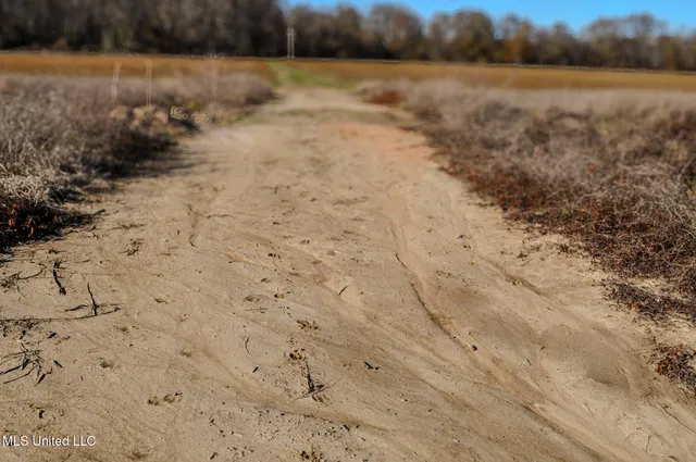 $2,397,000 | Ms-7, Water Valley, MS 38965