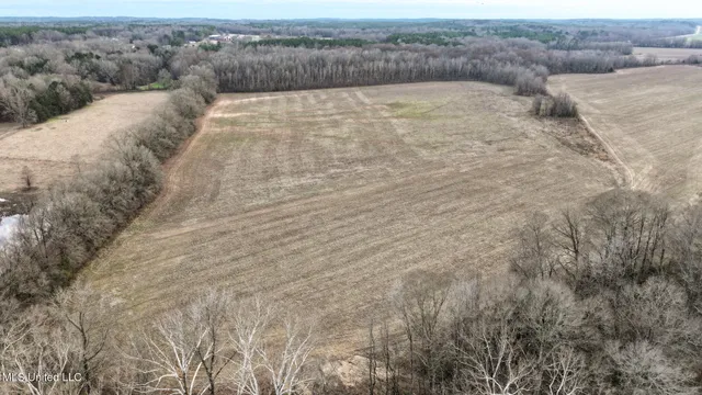 $2,397,000 | Ms-7, Water Valley, MS 38965