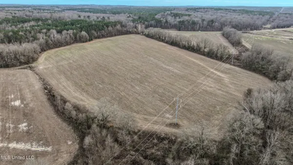 $2,397,000 | Ms-7, Water Valley, MS 38965