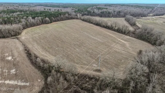 $2,397,000 | Ms-7, Water Valley, MS 38965