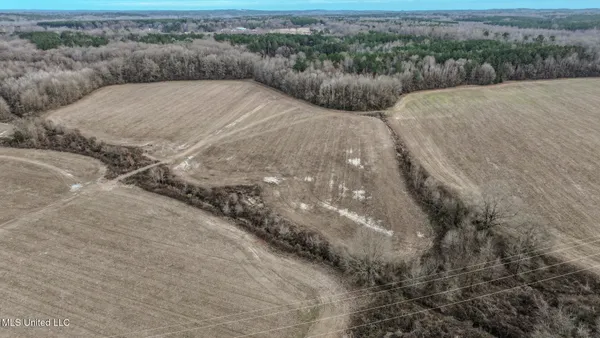 $2,397,000 | Ms-7, Water Valley, MS 38965