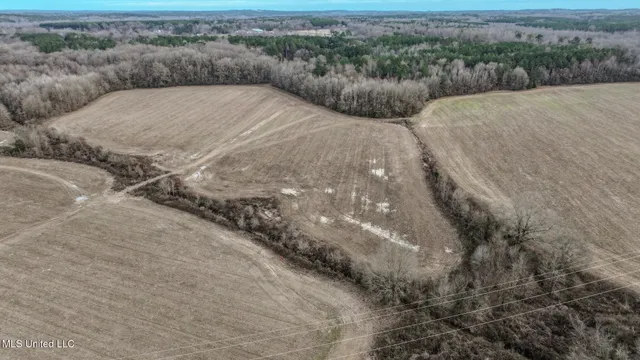 $2,397,000 | Ms-7, Water Valley, MS 38965