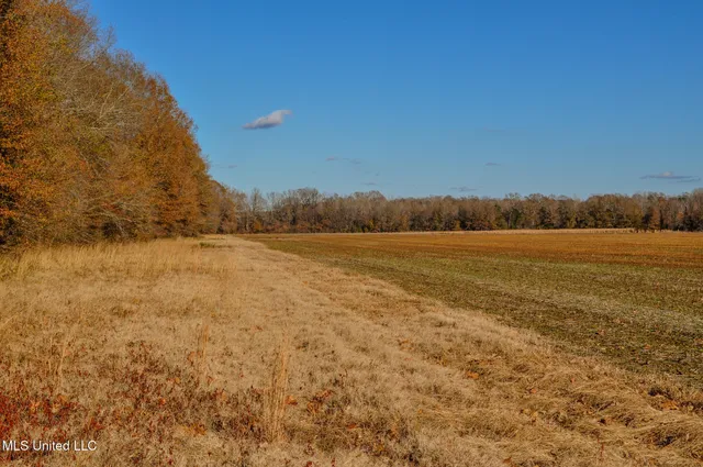 $2,397,000 | Ms-7, Water Valley, MS 38965