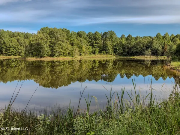 $2,397,000 | Ms-7, Water Valley, MS 38965