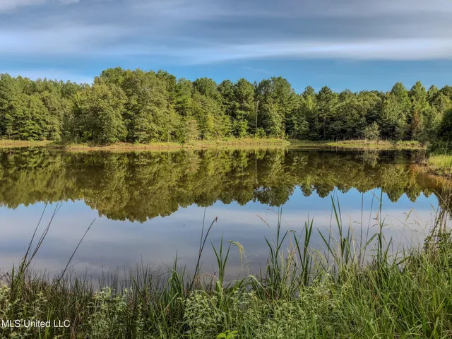 $2,397,000 | Ms-7, Water Valley, MS 38965