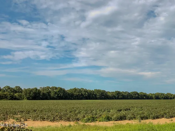 $2,397,000 | Ms-7, Water Valley, MS 38965