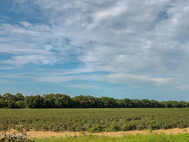 $2,397,000 | Ms-7, Water Valley, MS 38965