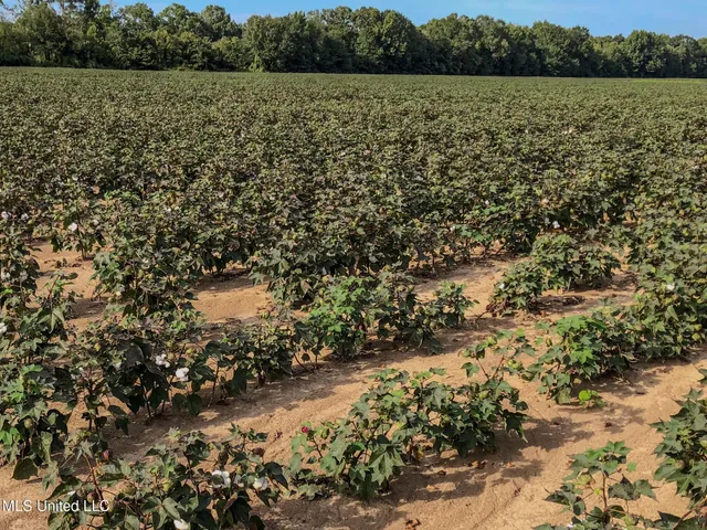 $2,397,000 | Ms-7, Water Valley, MS 38965