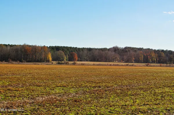 $2,397,000 | Ms-7, Water Valley, MS 38965