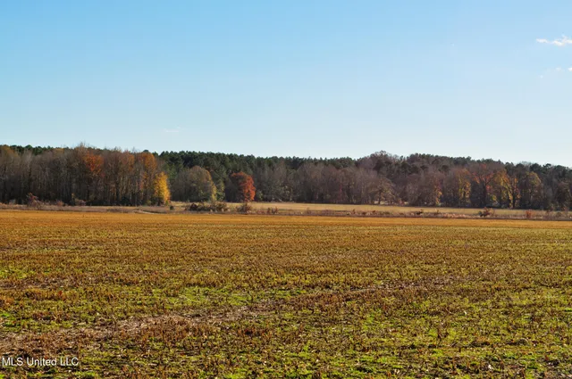 $2,397,000 | Ms-7, Water Valley, MS 38965