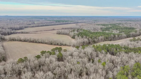 $2,397,000 | Ms-7, Water Valley, MS 38965