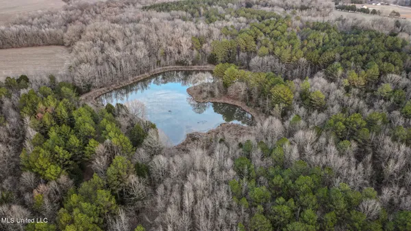 $2,397,000 | Ms-7, Water Valley, MS 38965