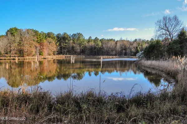 $2,397,000 | Ms-7, Water Valley, MS 38965