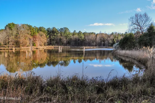 $2,397,000 | Ms-7, Water Valley, MS 38965