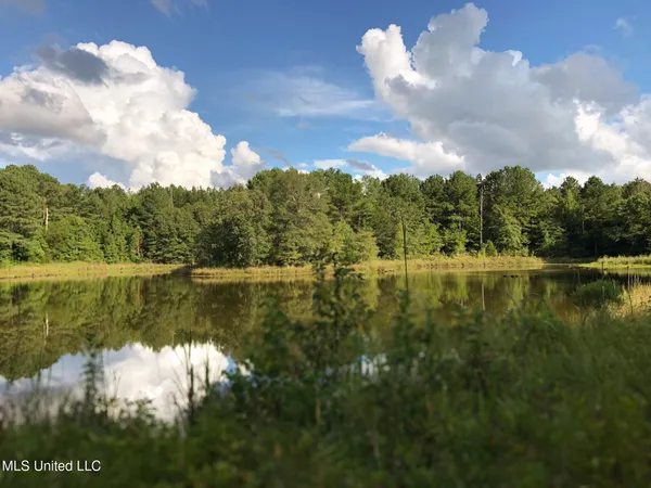 $2,397,000 | Ms-7, Water Valley, MS 38965