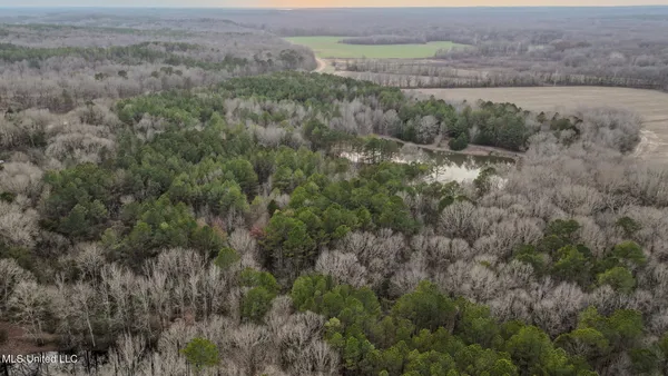 $2,397,000 | Ms-7, Water Valley, MS 38965