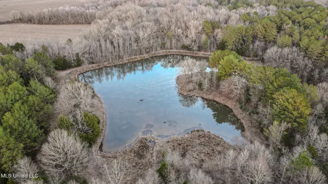 $2,397,000 | Ms-7, Water Valley, MS 38965