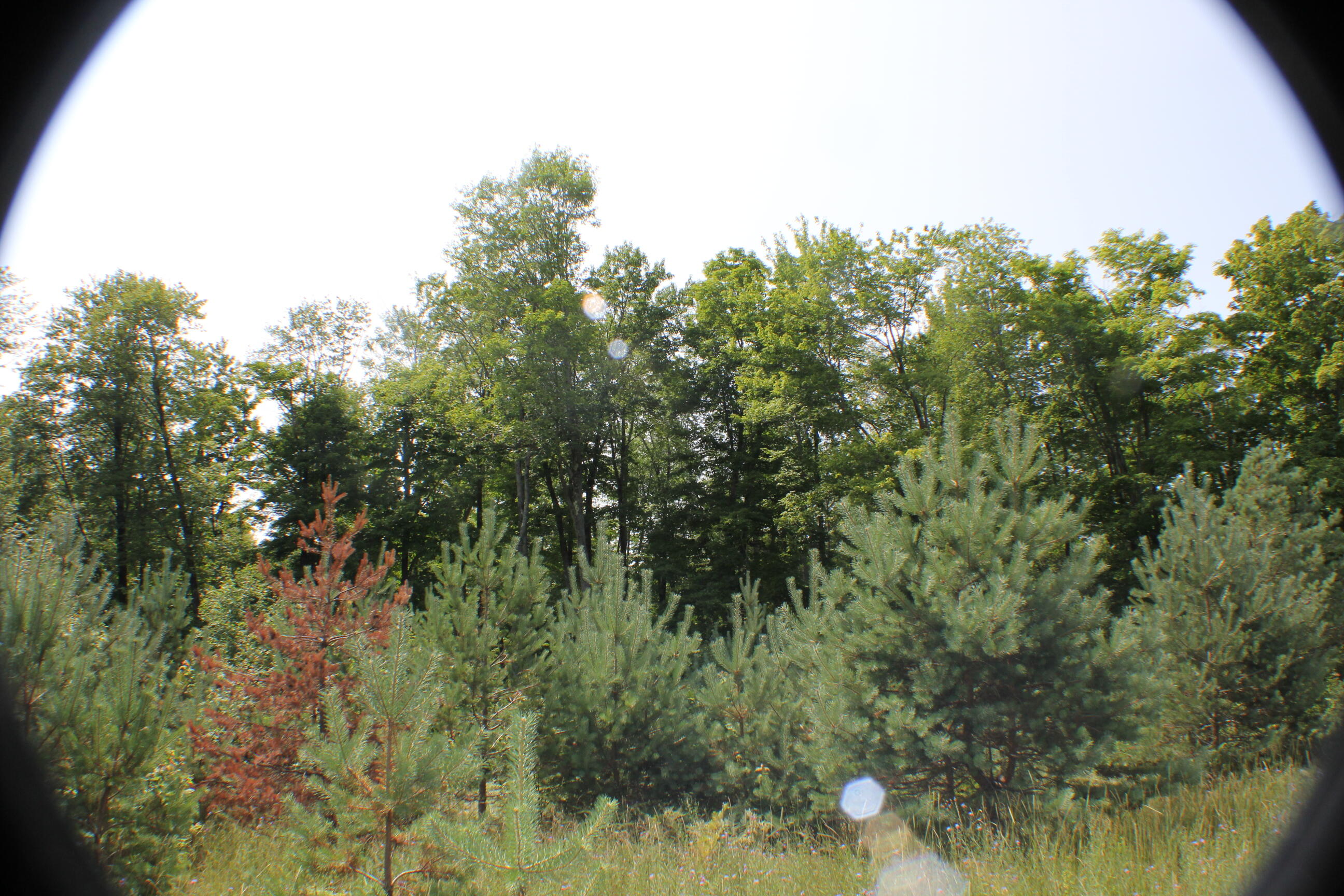 5744 North Webb Road Hessel, MI 49745 - Photo 13 of 14 Gallery Image 13