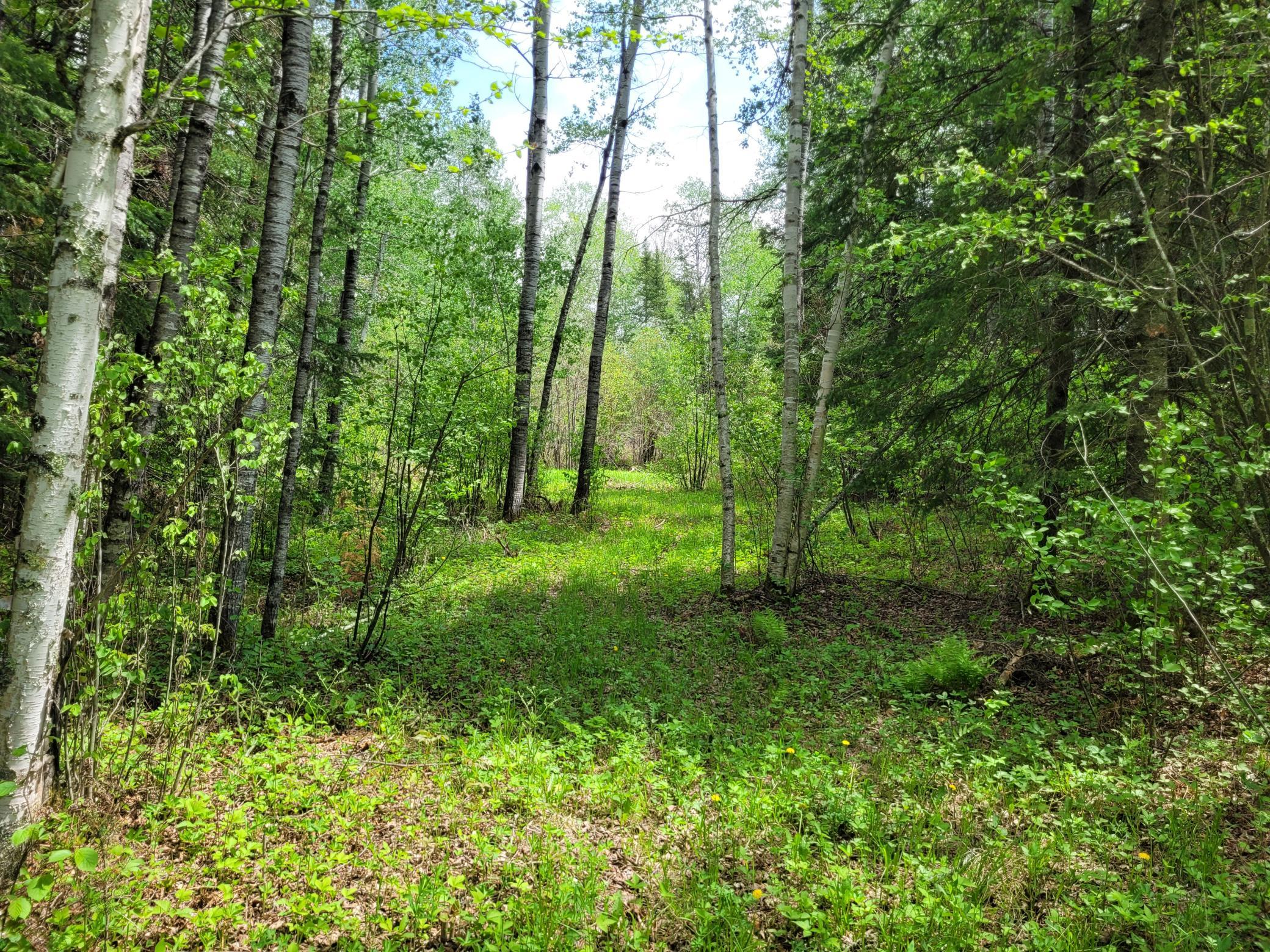 68401 County Road 547 Cook, MN 55723 - Photo 11 of 29