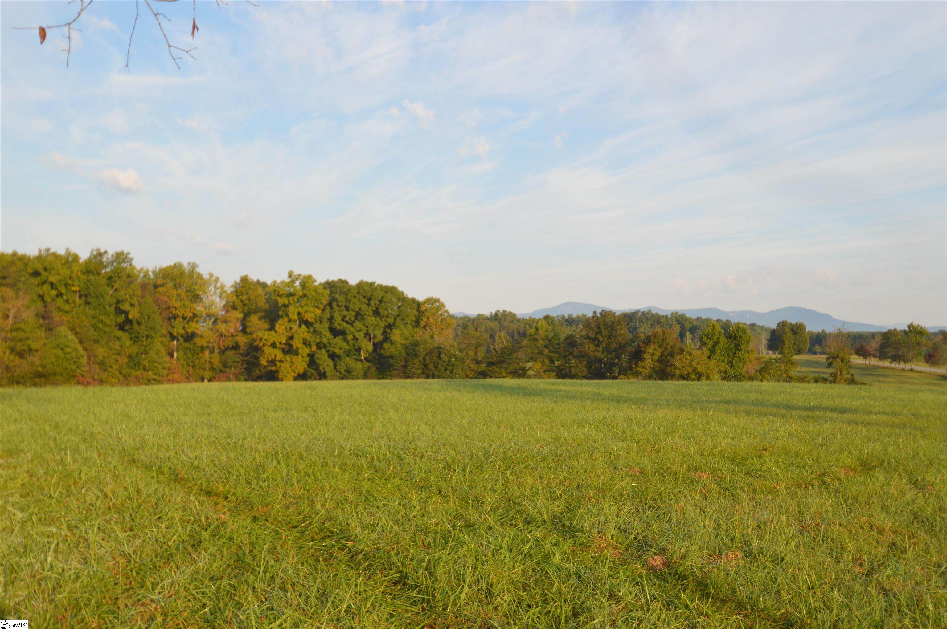225 Racetrack Road, Unit TRACT L Campobello, SC 29322 - Photo 3 of 7