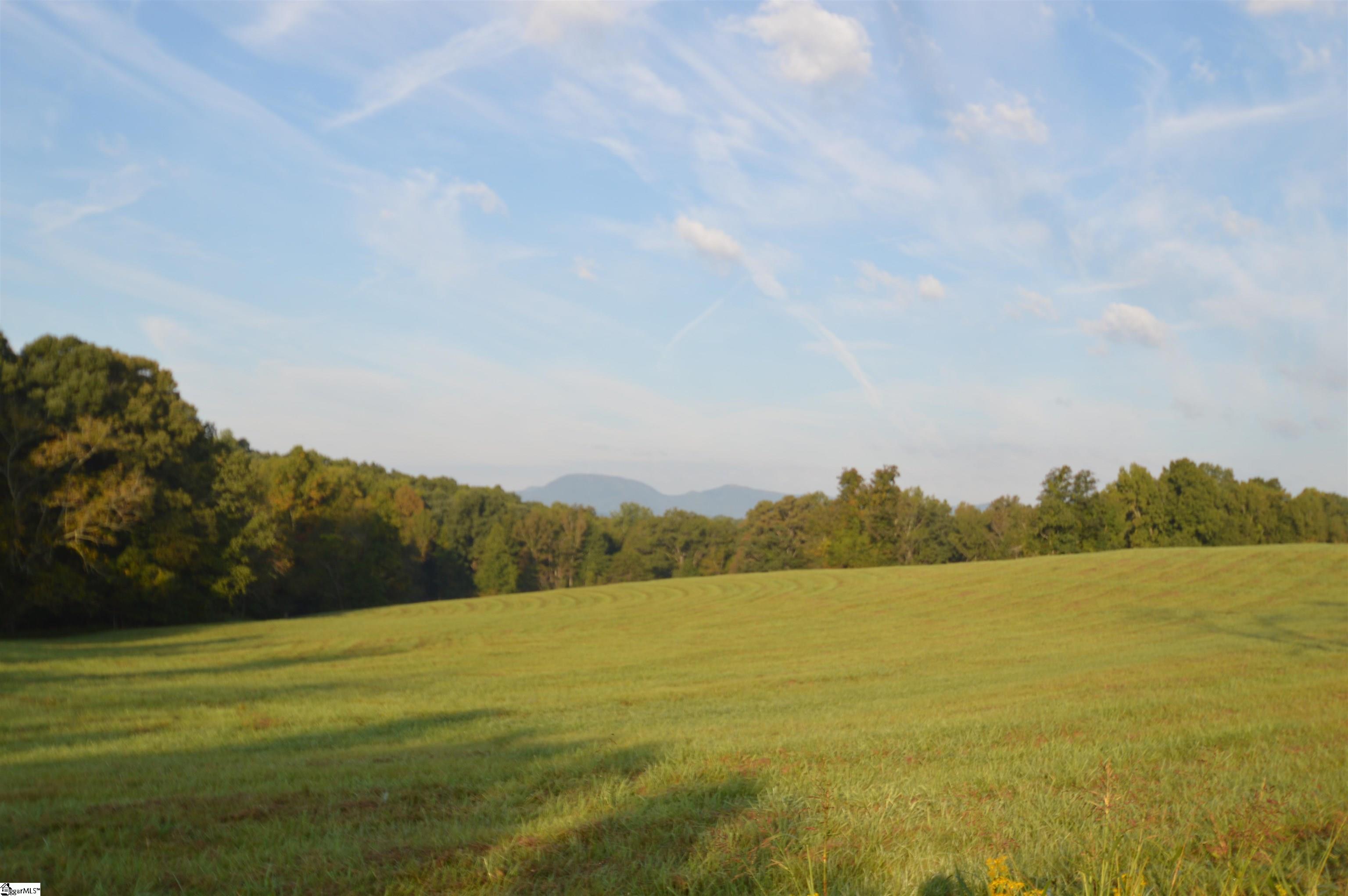 225 Racetrack Road, Unit TRACT L Campobello, SC 29322 - Photo 5 of 7
