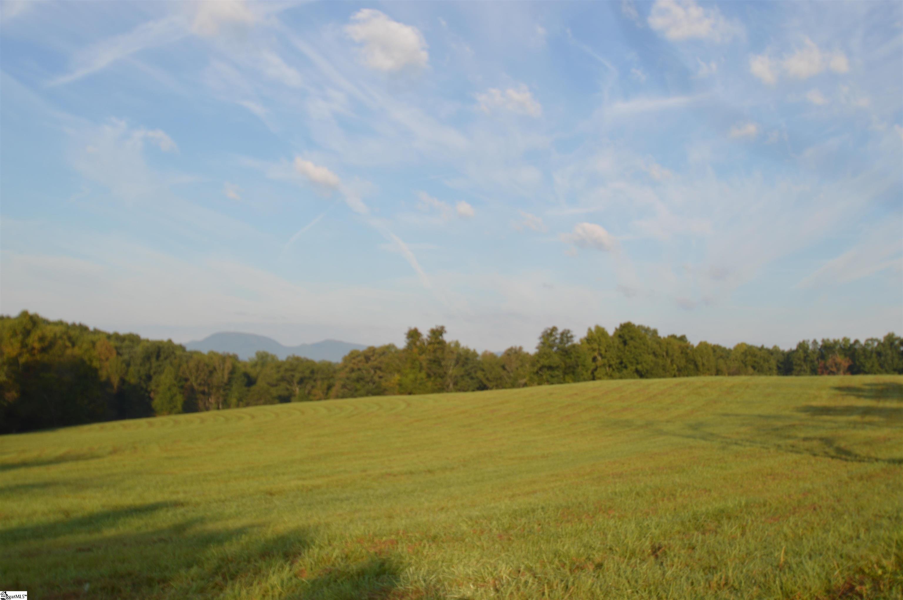 225 Racetrack Road, Unit TRACT L Campobello, SC 29322 - Photo 6 of 7
