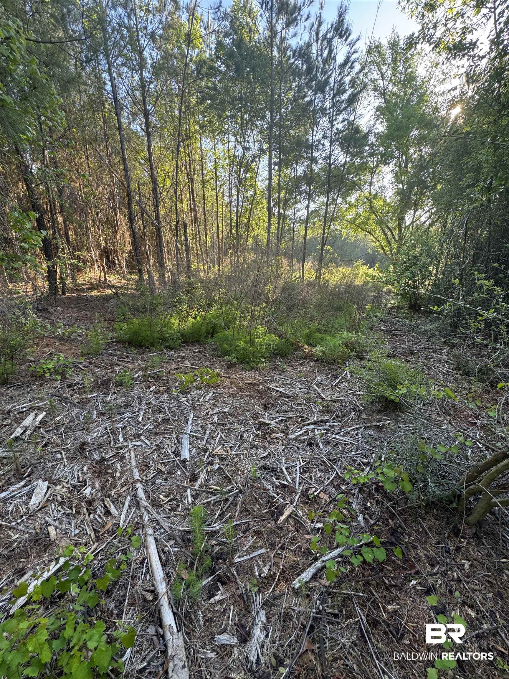 0 Charlie Head Road Stapleton, AL 36578 - Photo 3 of 7