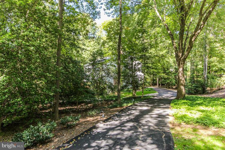 2600 Penny Royal Lane Reston, VA 20191 - Photo 29 of 30 a view of a park with large trees