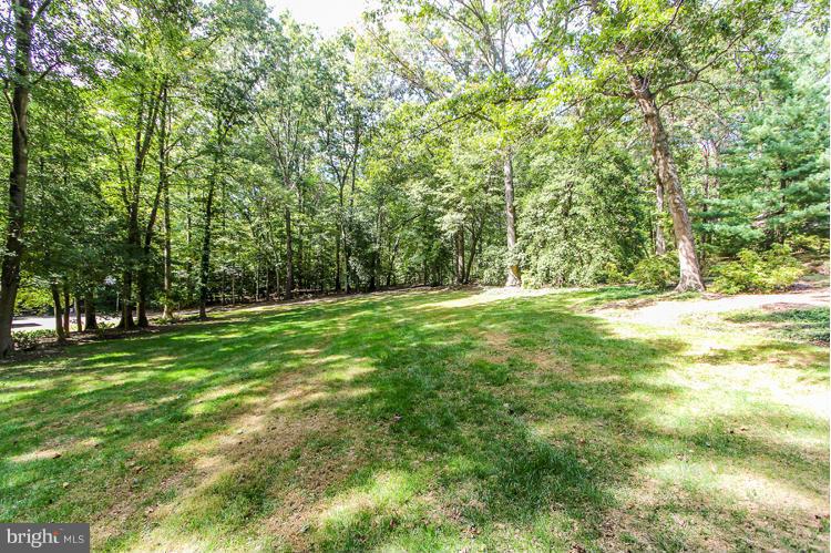 2600 Penny Royal Lane Reston, VA 20191 - Photo 30 of 30 a view of outdoor space with trees all around