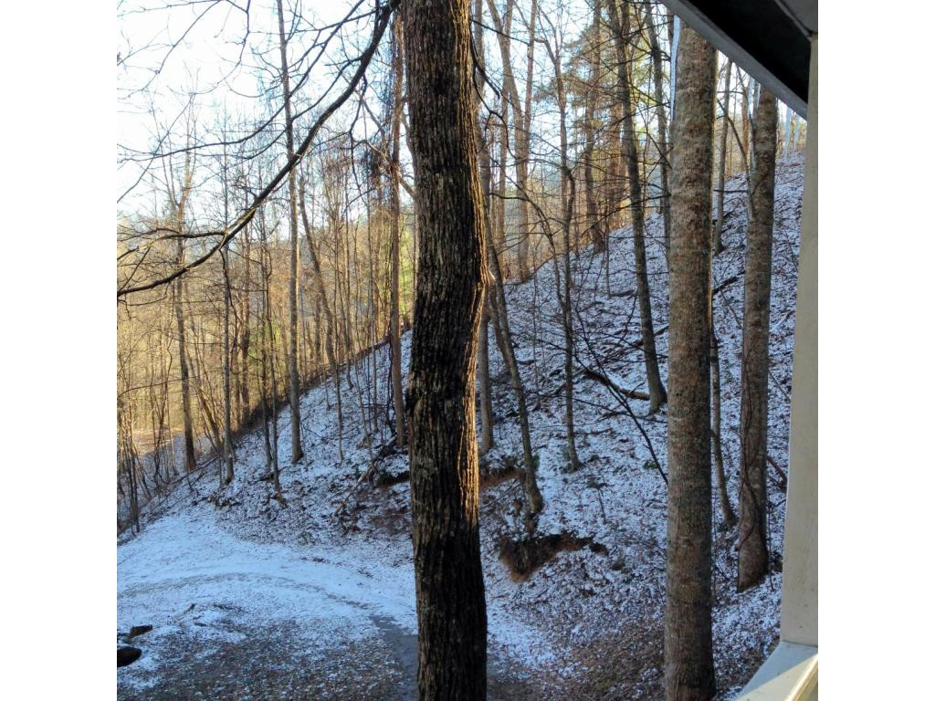 631 Stockton Road Flag Pond, TN 37657 - Photo 23 of 24 Photo 23