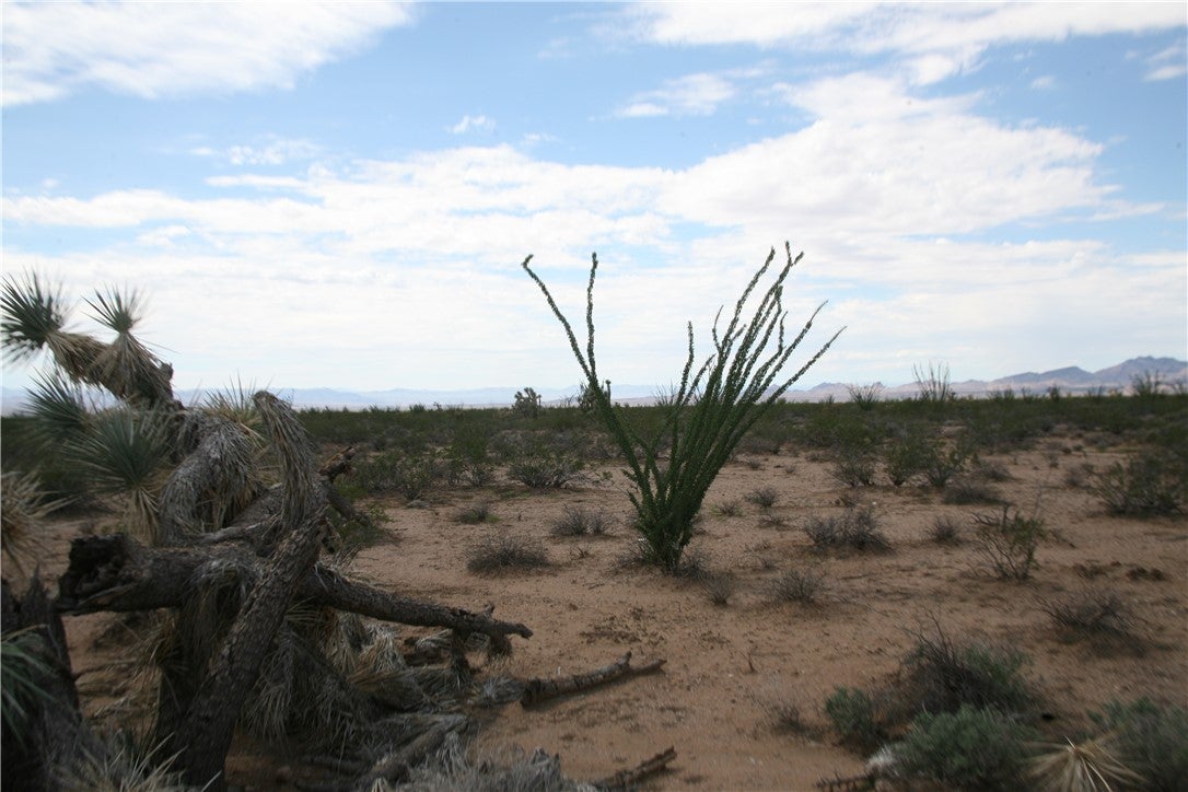 243-15-016 South Custer Road, Unit 3491 Yucca, AZ 86438 - Photo 43 of 61 Gallery Image 43