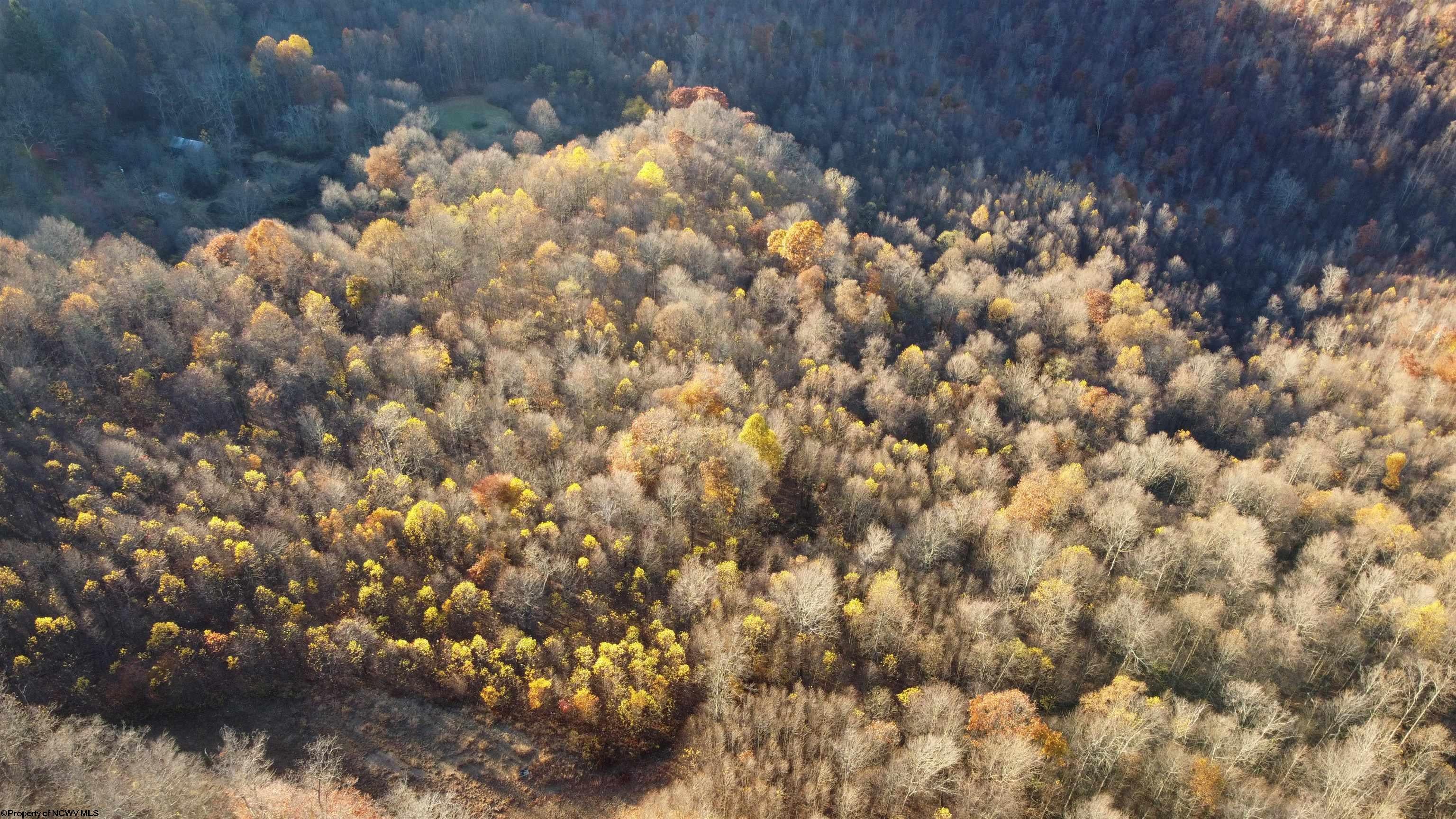 25-acres Stemple Ridge Road Aurora, WV 26705 - Photo 7 of 27 Gallery Image 7