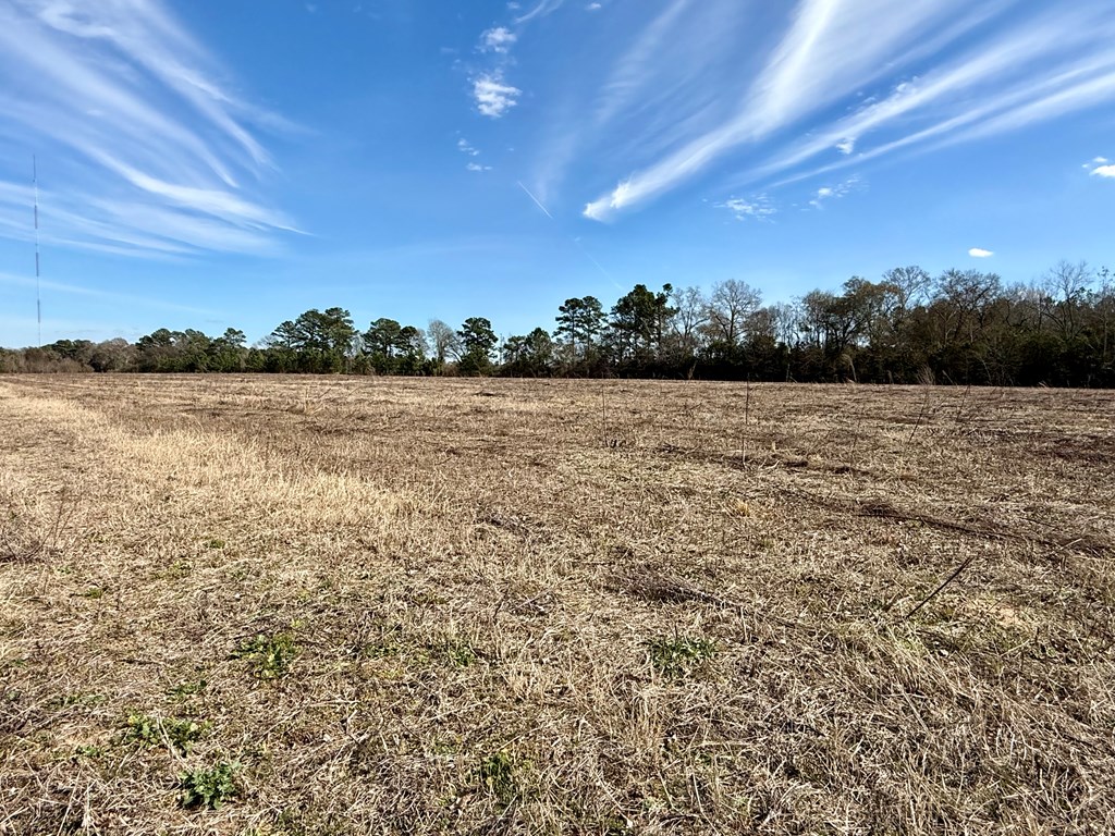 10.73-acres Huskey Road Dothan, AL 36303 - Photo 5 of 13