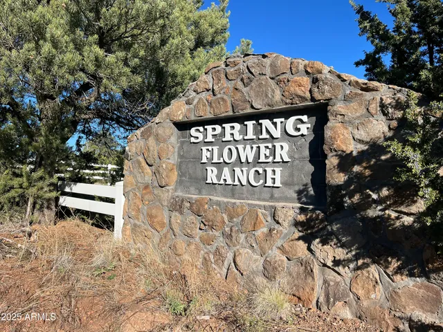 a view of a wooden bench under a large tree