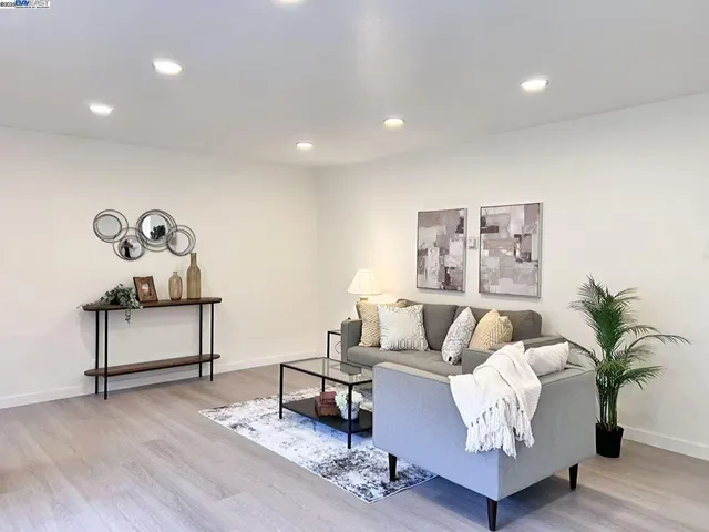 a living room with furniture flowerpot and a potted plant
